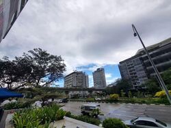 Kap (D21), Retail #566799551